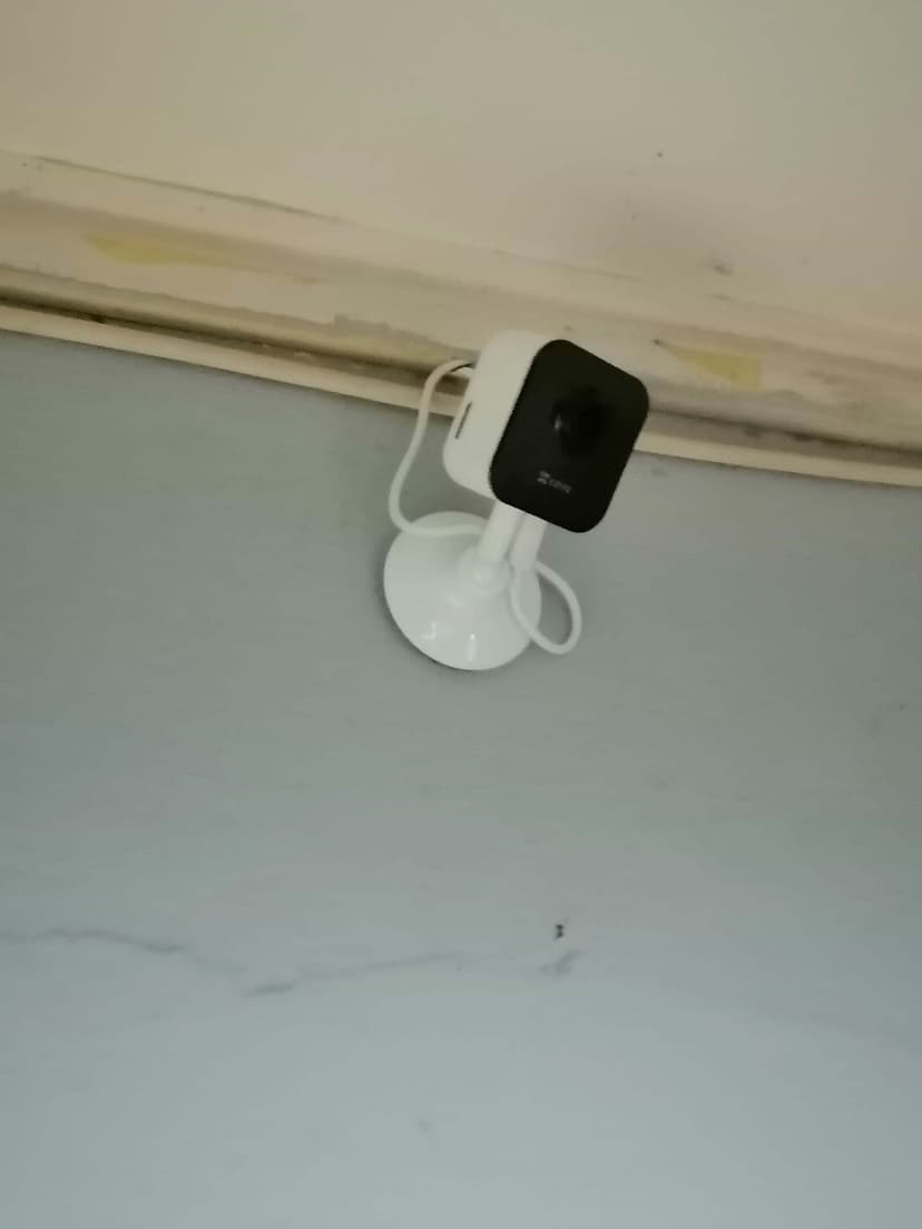Trabajos